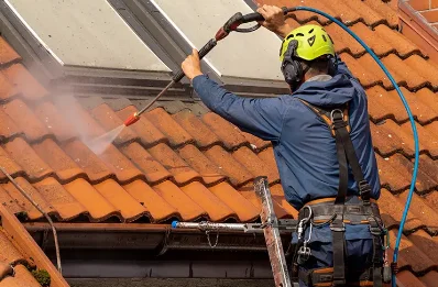 Démoussage et hydrofuge de toiture à Belrain